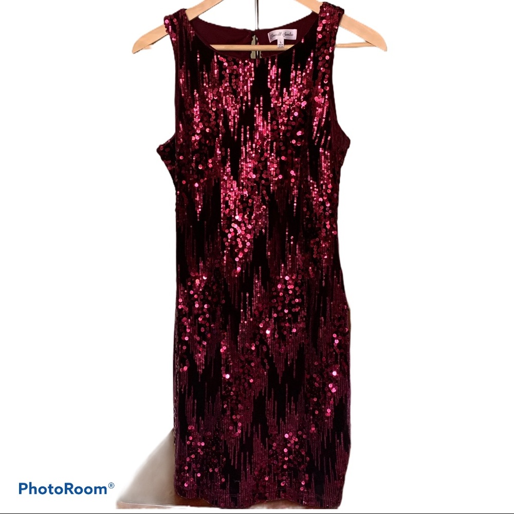 Emerald Sundae Wine Sequin Mini Dress